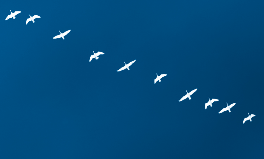 Cómo funciona la migración de un e-commerce: qué tener en cuenta al cambiar de hosting, de plataforma o pasar al online