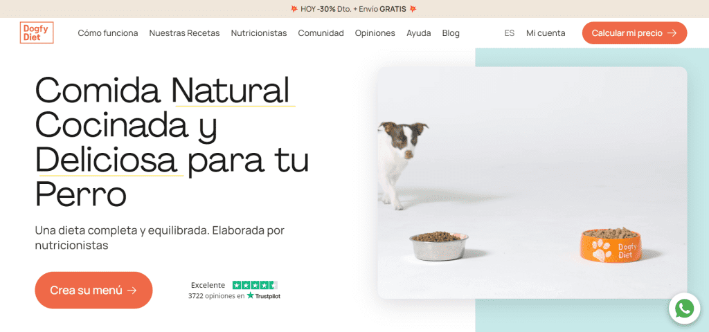 Ejemplo-landing-page-Dogfy-Diet