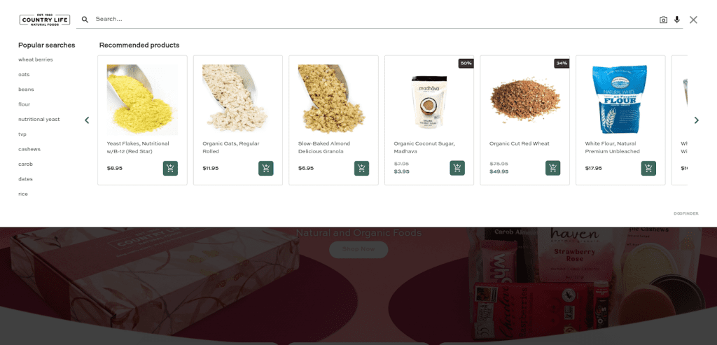 search-engine-features