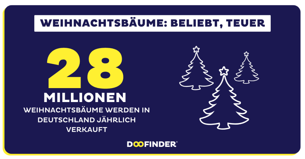 Weihnachtsbaume Beliebt teuer umweltfreundlich Weihnachtsbäume: Beliebt, teuer, umweltfreundlich?
