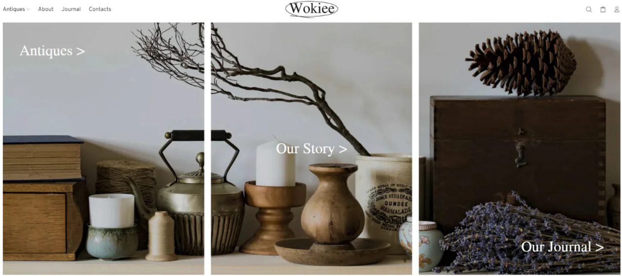 Shopify-Themes Wokiee