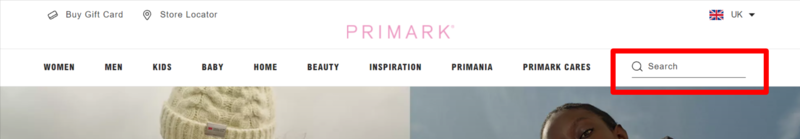 busqueda-interna-e-commerce