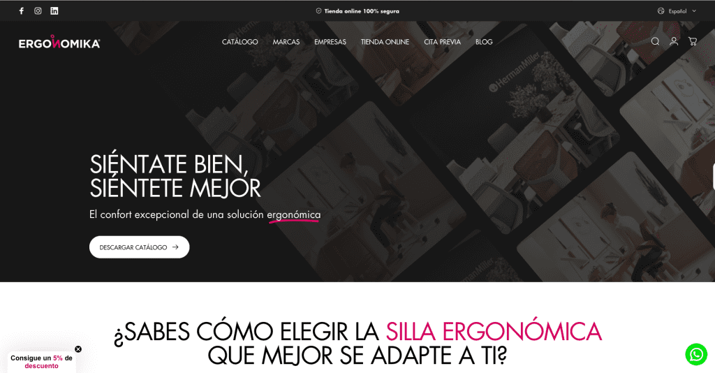 Ejemplo-que-es-nicho-de-mercado-Ergonomika