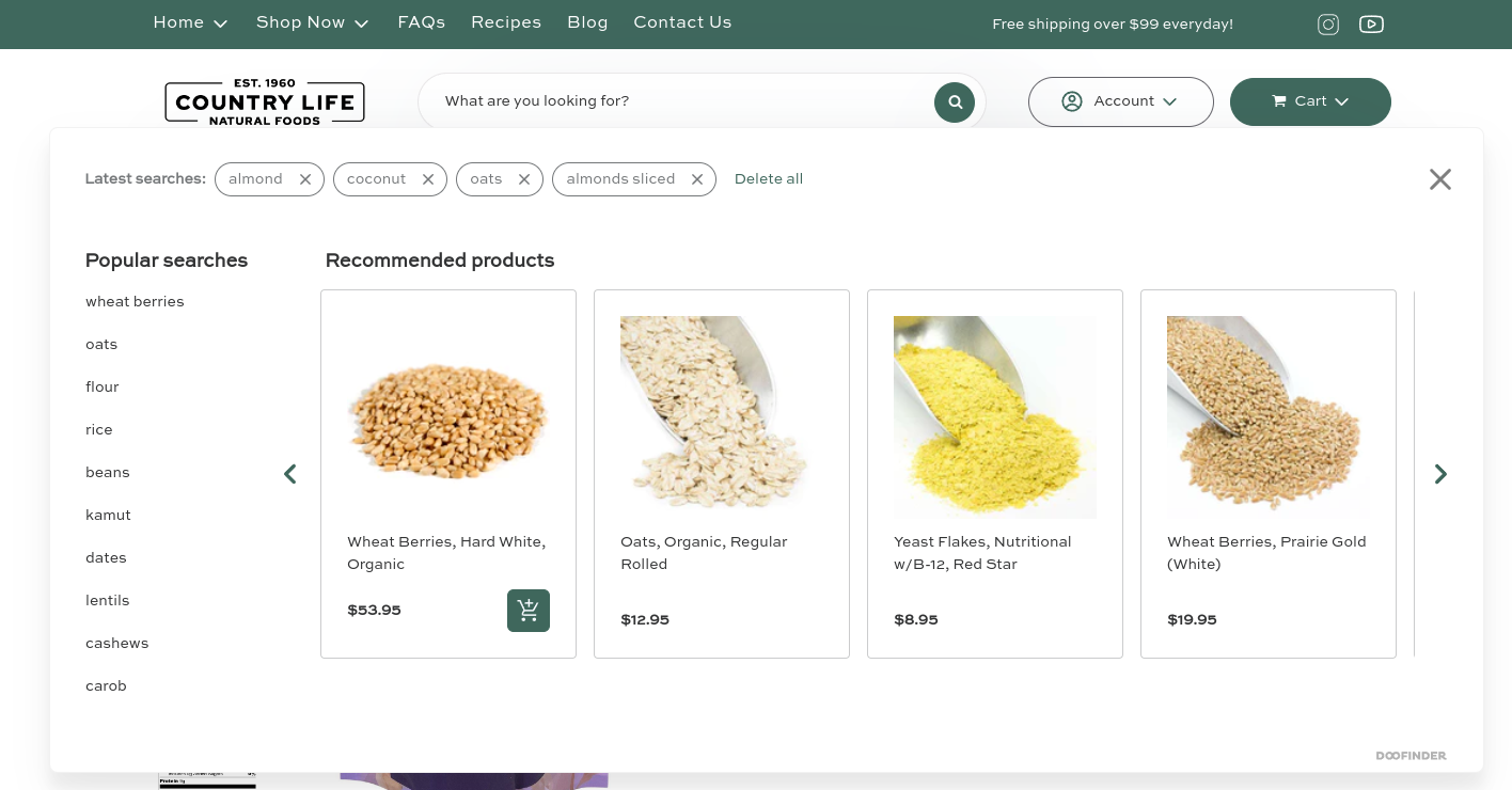 modern Advanced Search UI