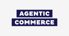 Wie Agentic Commerce 3 große E-Commerce Probleme löst