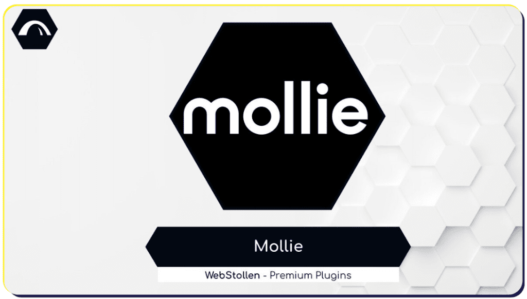 image 24 Mollie Payments Plugin - JTL Shop Plugins